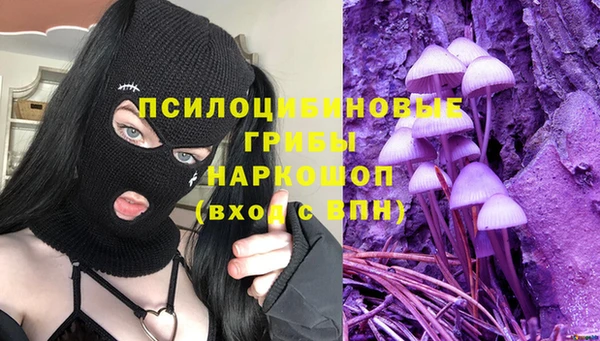 гашик Бабаево