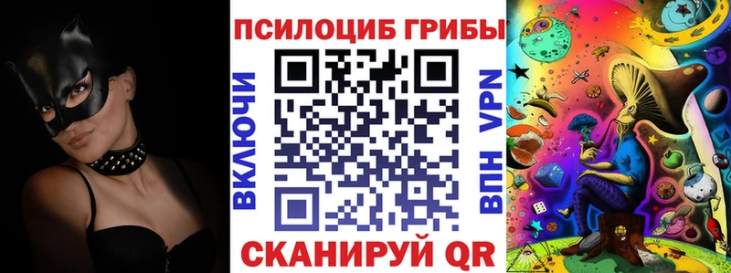 купить Гатчина Псилоцибиновые грибы Magic Shrooms